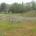 Went for a walk today, nothing much in mind apart from enjoying a blether whilst strolling through Queens Park with Mandy and picking up some rice noodles at SuperAsia. After […]